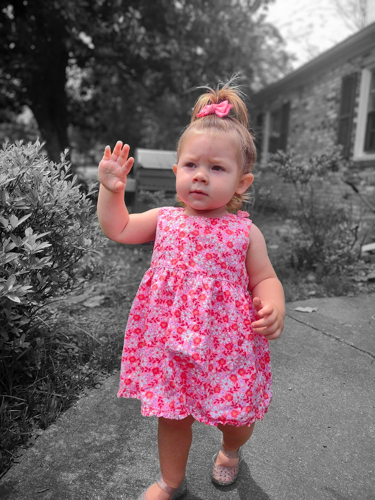 Mackenzie is registered to the contest to win money with this photo: baby, baby_toddler_clothing, beauty, day_dress, dress, eye, fun, gesture, grass, happy, one_piece_garment, people_in_nature, person, pink, plant, sleeve, standing, summer, toddler, tree