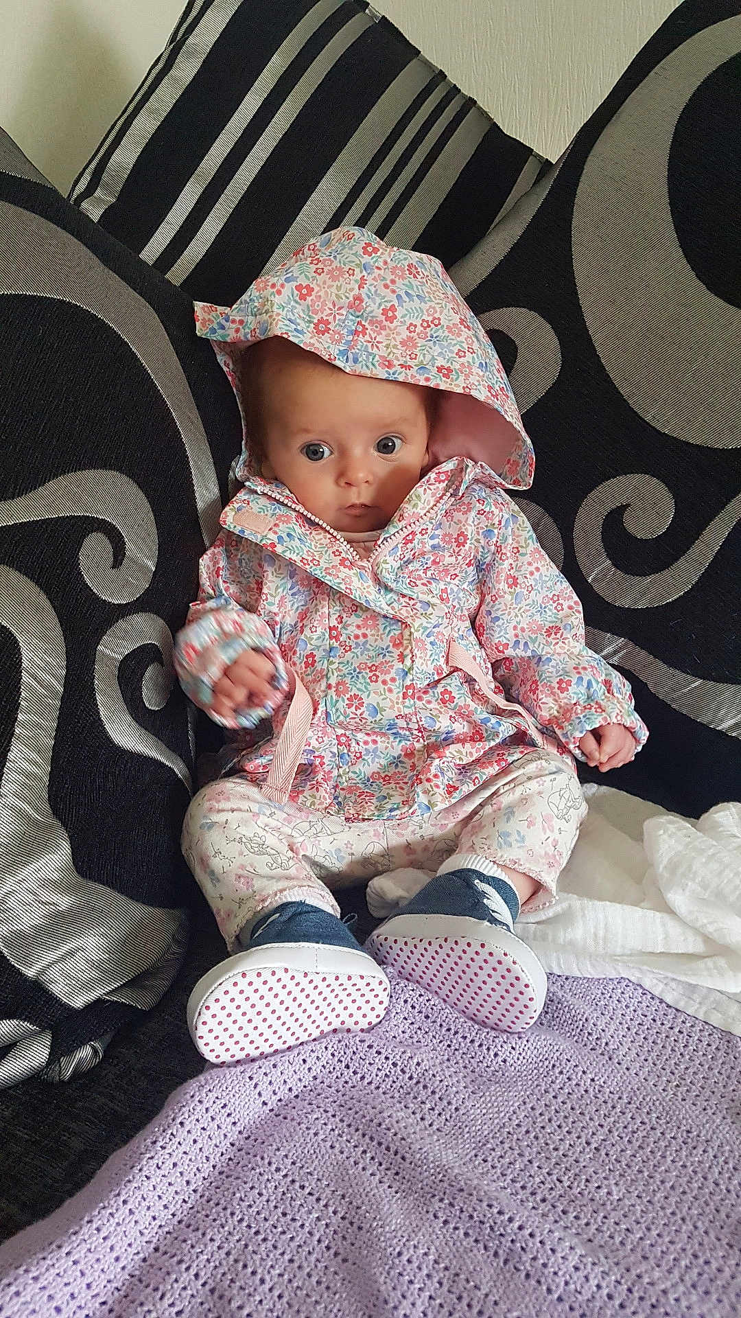 Darcie Louise