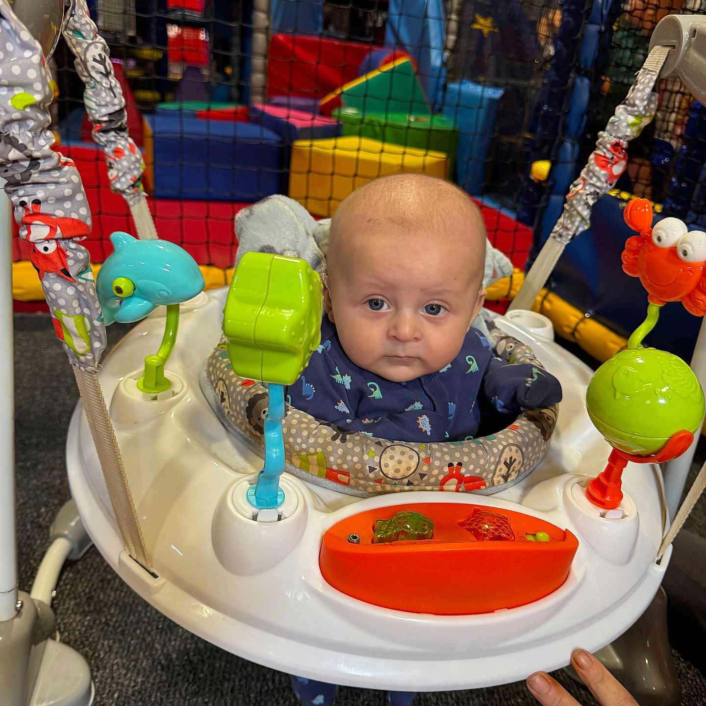 Finley Robinson is registered to the contest to win money with this photo: baby, blue_outfit, carpet, child, clothing, colorful, expression, face, hand, indoor_play_area, infant, jumper, looking_at_camera, netting, plastic, play_equipment, rings, seat, soft_toys, toys