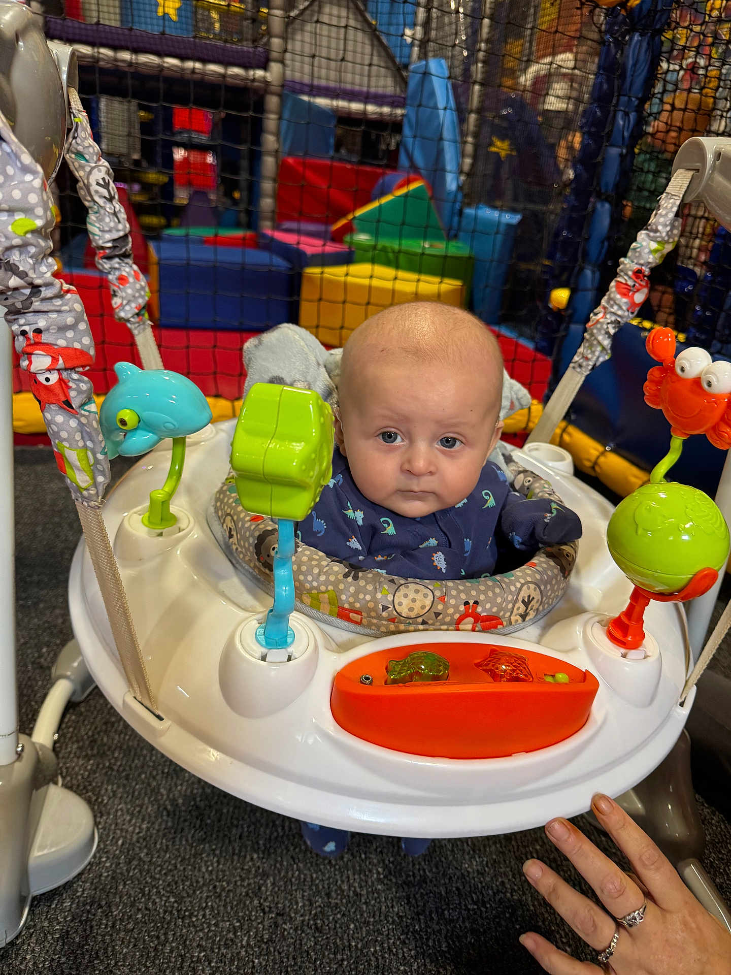 Finley Robinson is registered to the contest to win money with this photo: baby, infant, jumper, toys, indoor_play_area, colorful, hand, rings, carpet, plastic, seat, child, face, clothing, blue_outfit, play_equipment, expression, looking_at_camera, netting, soft_toys