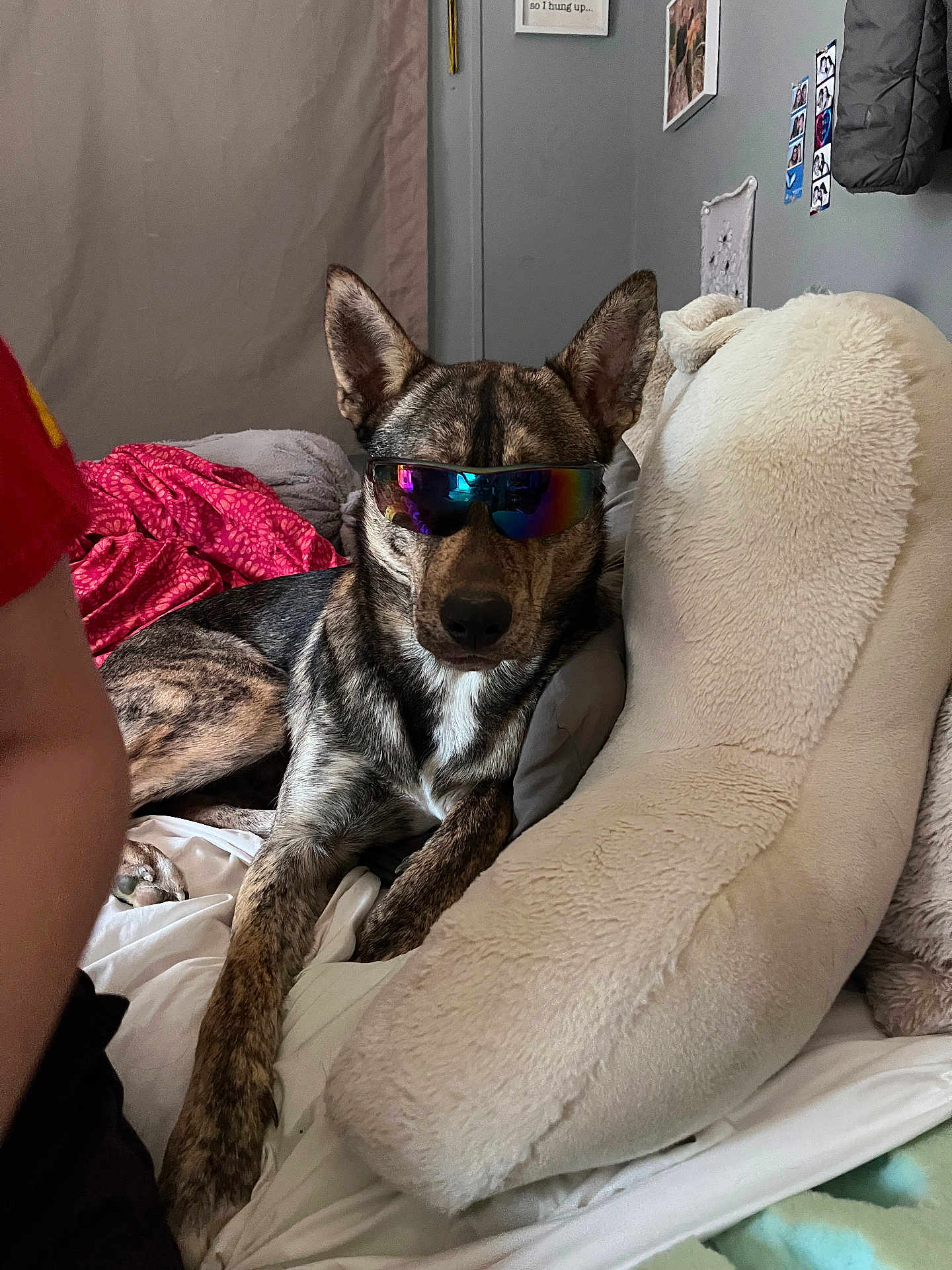 Duke