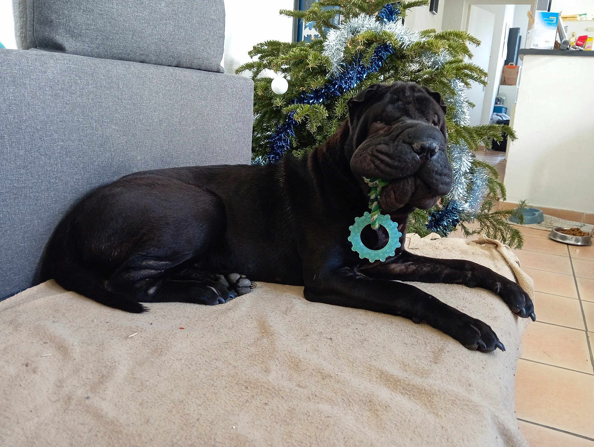 Freyja