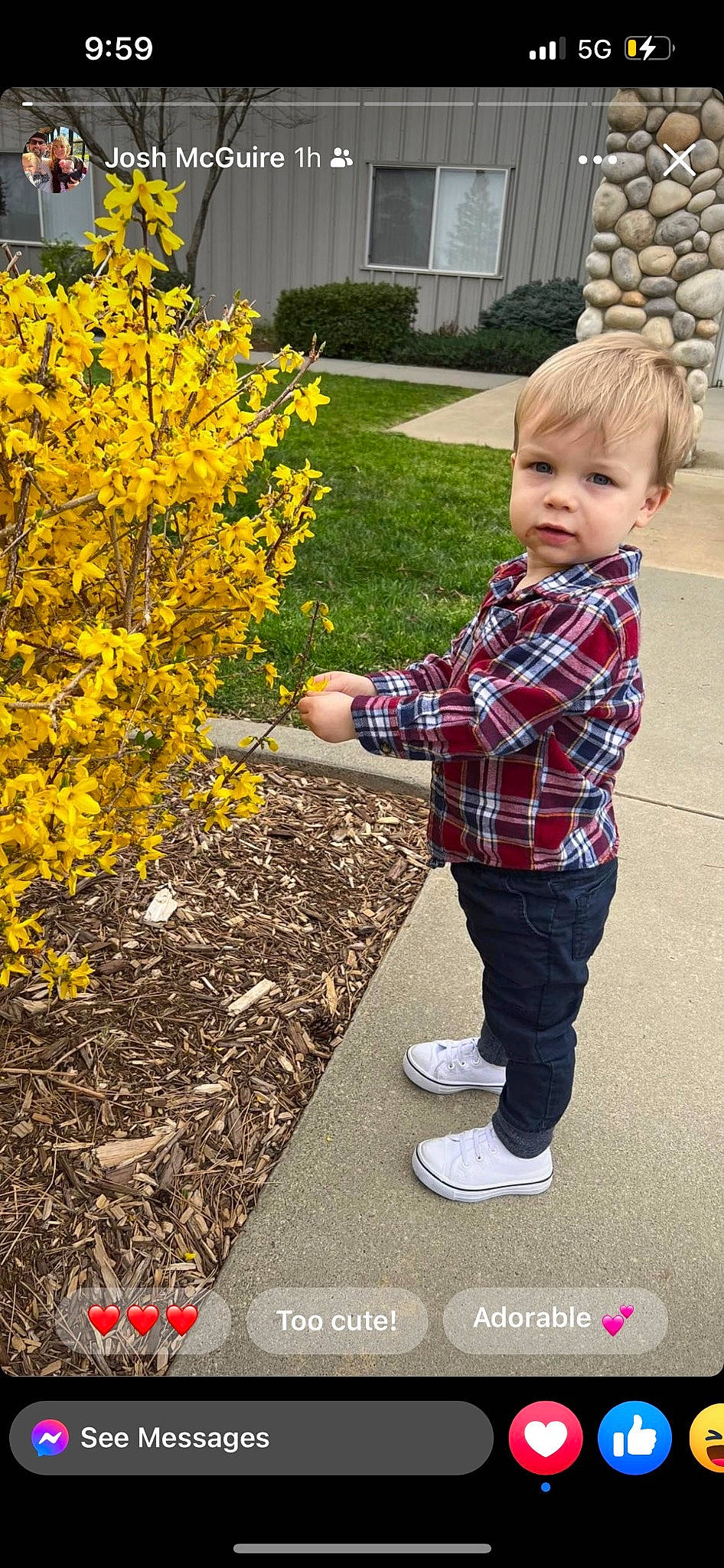 Peter joined the competition — help win amazing prizes! annual_plant, boot, deciduous, denim, flower, flowering_plant, garden, grass, groundcover, leaf, pattern, people_in_nature, person, plaid, plant, shrub, sneakers, spring, tartan, toddler