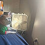 dog, green_shirt, bed, blue_bedspread, box_fan, tv_screen, indoor, relaxed, light, shadow, wall, outlet, cord, pet, fur, ear, paw, resting, casual, cozy