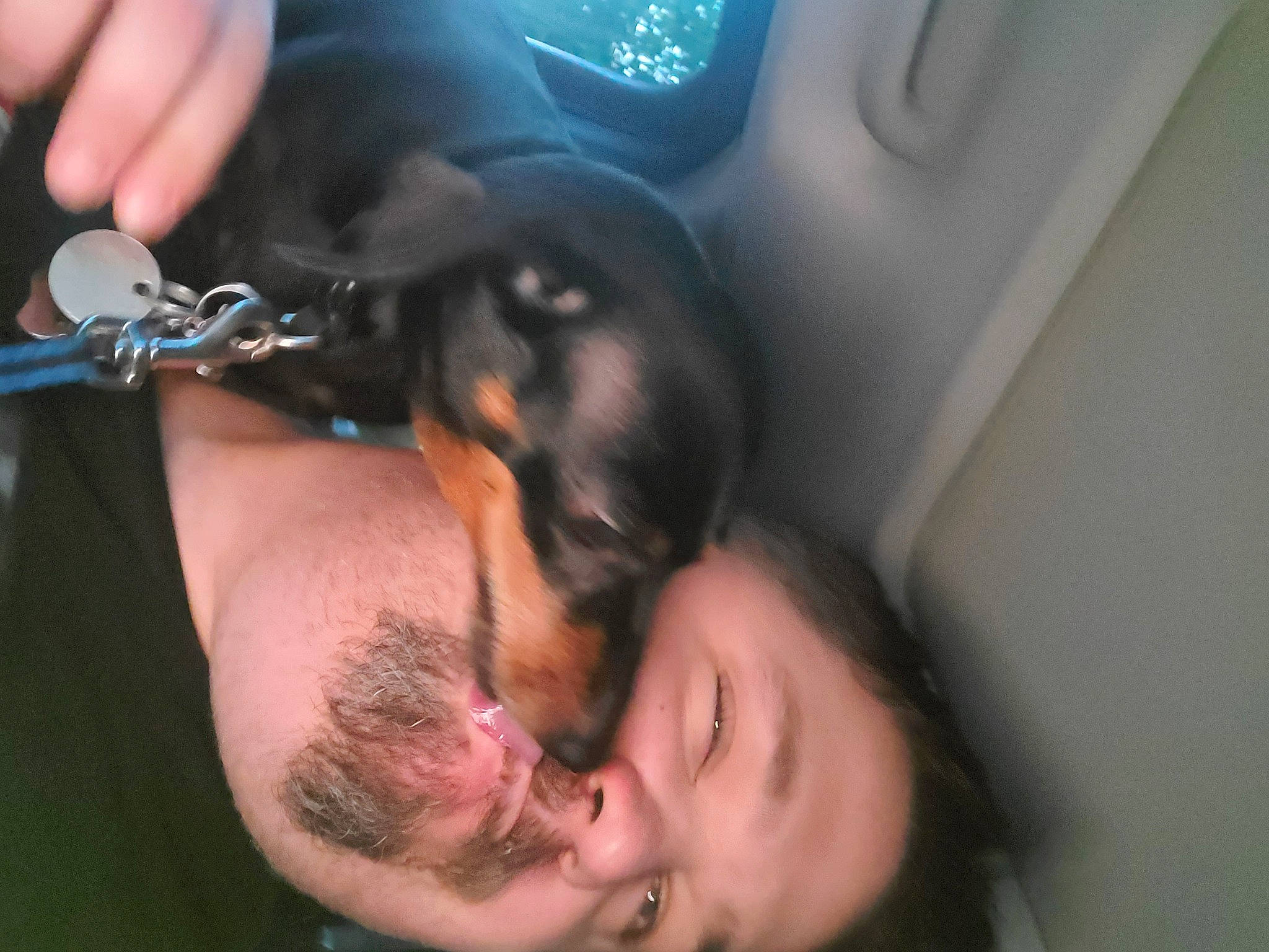 Lucky joined the competition — help win amazing prizes! beard, carnivore, companion_dog, dog, dog_breed, ear, event, family_car, finger, fun, gesture, guard_dog, hand, happy, nail, snout, sporting_group, toy_dog, vehicle_door, wrist