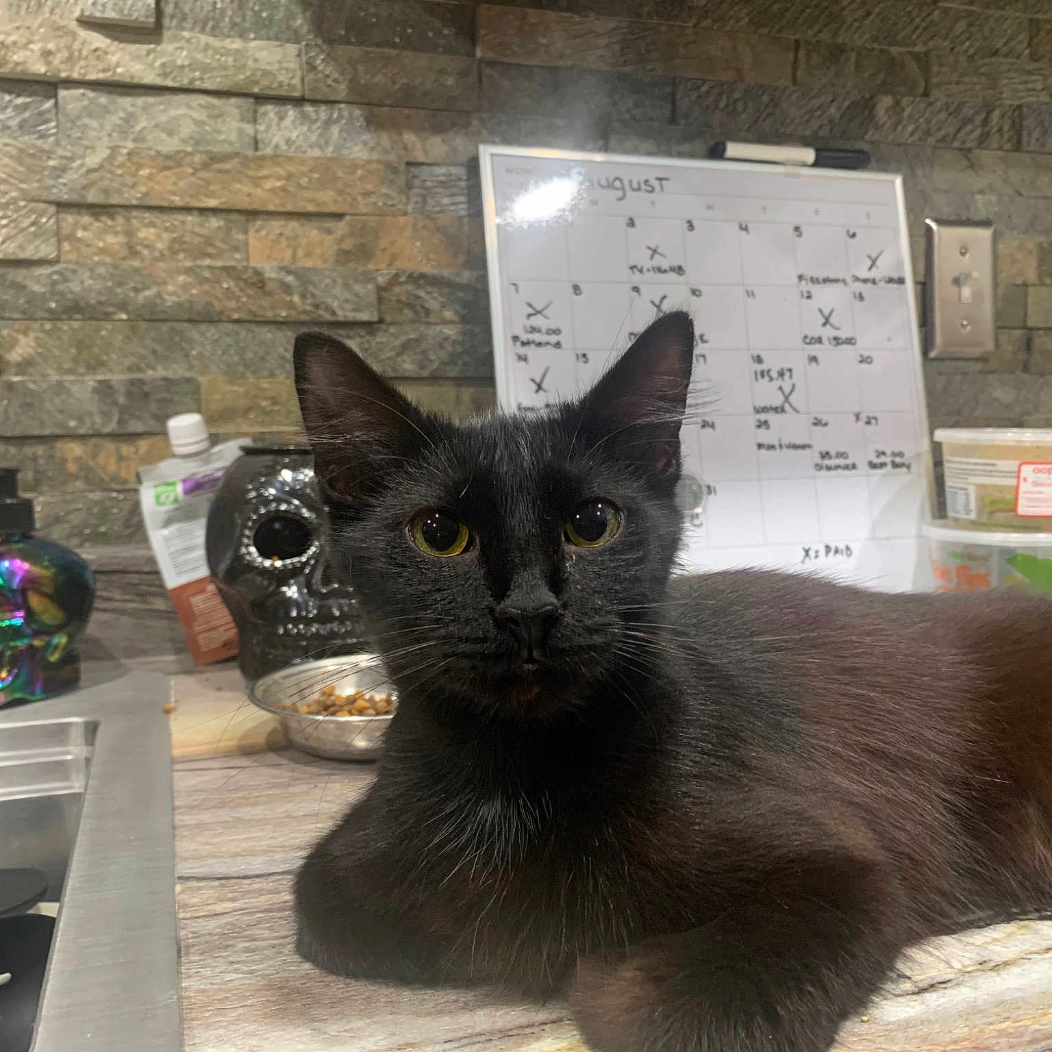 Ollie