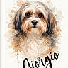 dog, watercolor, painting, portrait, art, animal, brown, white, fur, face, eyes, nose, illustration, splashes, brush_strokes, background, name, calligraphy, text_overlay, artistic