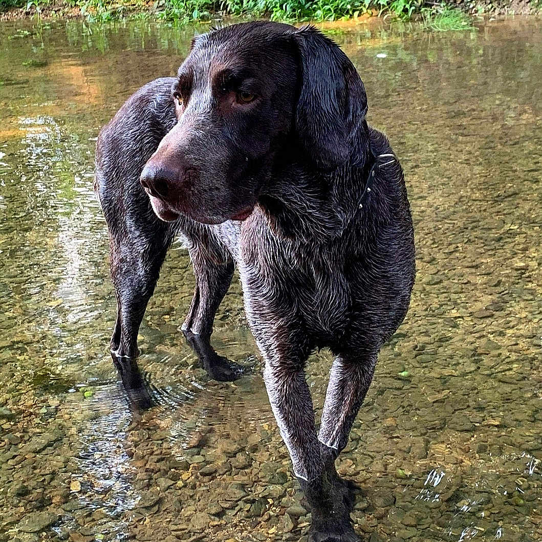 Marley