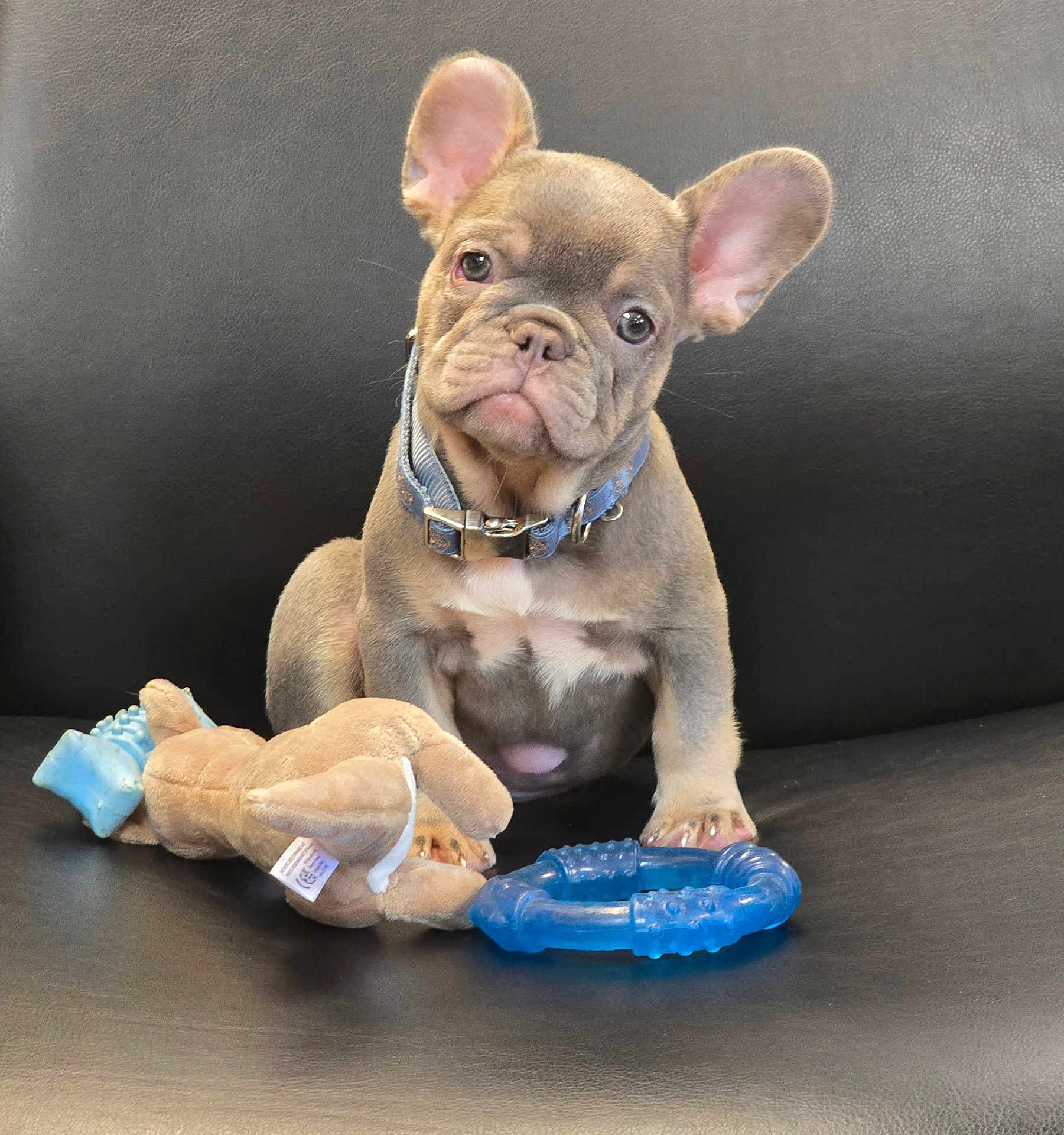 Winston