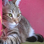 Mya participe au concours pour gagner de l'argent avec cette photo :