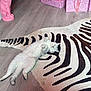 cat, white_cat, belly_up, rug, zebra_rug, zebra_pattern, presents, gifts, pink, pink_gifts, lion_statue, floor, wood_floor, hardwood_floor, holiday, christmas_tree, ornament, pet, relaxed, sleeping