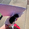 kitten, black_and_white, paper_towel, hand, person, colorful_shirt, sidewalk, concrete, sunlight, outdoor, paper, text, street, curb, shadow, animal, small, cute, holding, daylight