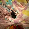 kitten, blanket, soft, colorful, pastel, nest, cozy, furry, animal, pet, sleeping, cute, small, black_and_white, fabric, cartoon, pattern, warm, comfort, indoor
