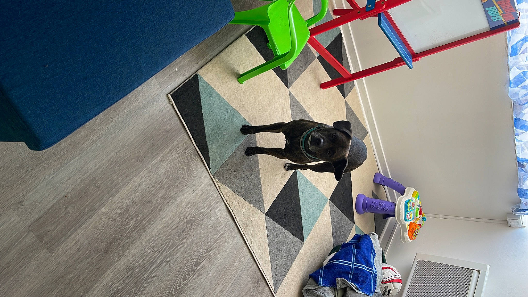 Bucky a rejoint le concours — aidez-le/la à gagner de superbes lots ! animation, art, carmine, ceiling, eyewear, fictional_character, flooring, font, games, graphic_design, graphics, pattern, room, shadow, space, symmetry, triangle, visual_arts, wood