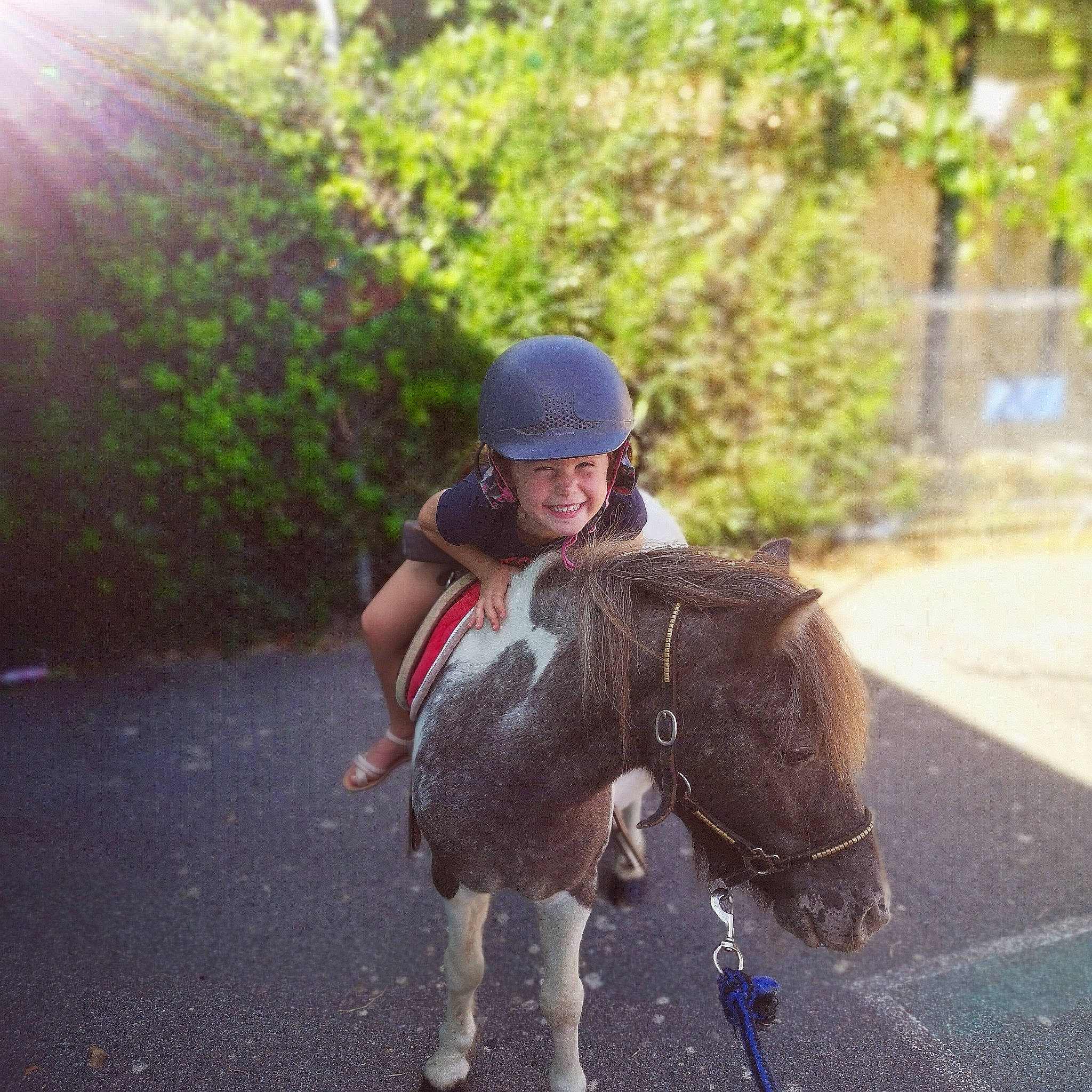 Ambre a rejoint le concours — aidez-le/la à gagner de superbes lots ! asphalt, bit, bridle, equestrian_sport, equestrianism, glasses, headwear, helmet, horse, horse_supplies, horse_tack, joy, landscape, pack_animal, person, personal_protective_equipment, recreation, rein, saddle, sports