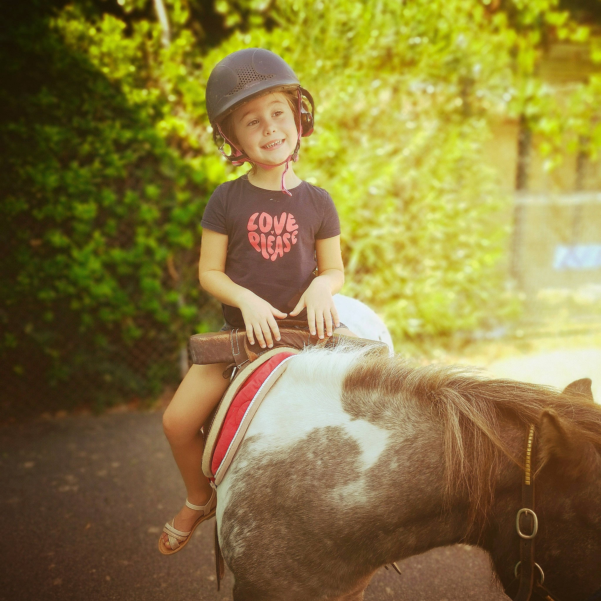 Ambre a rejoint le concours — aidez-le/la à gagner de superbes lots ! bridle, equestrian_sport, equestrianism, fun, happy, headgear, headwear, helmet, horse, horse_supplies, horse_tack, joy, landscape, livestock, pack_animal, person, recreation, rein, saddle, t_shirt