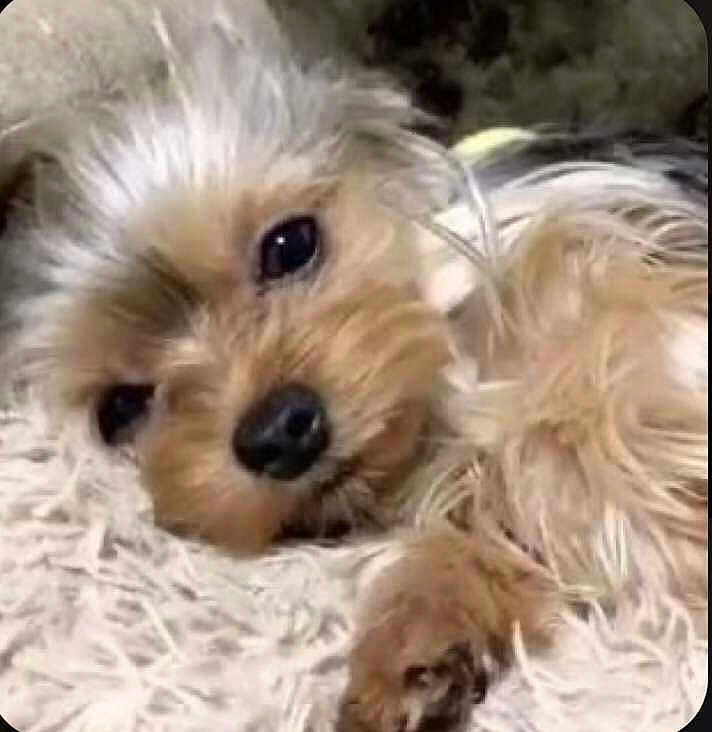 Mia