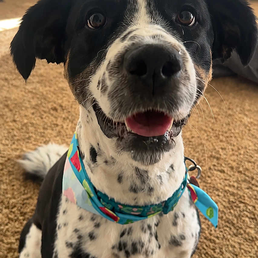 Fiona