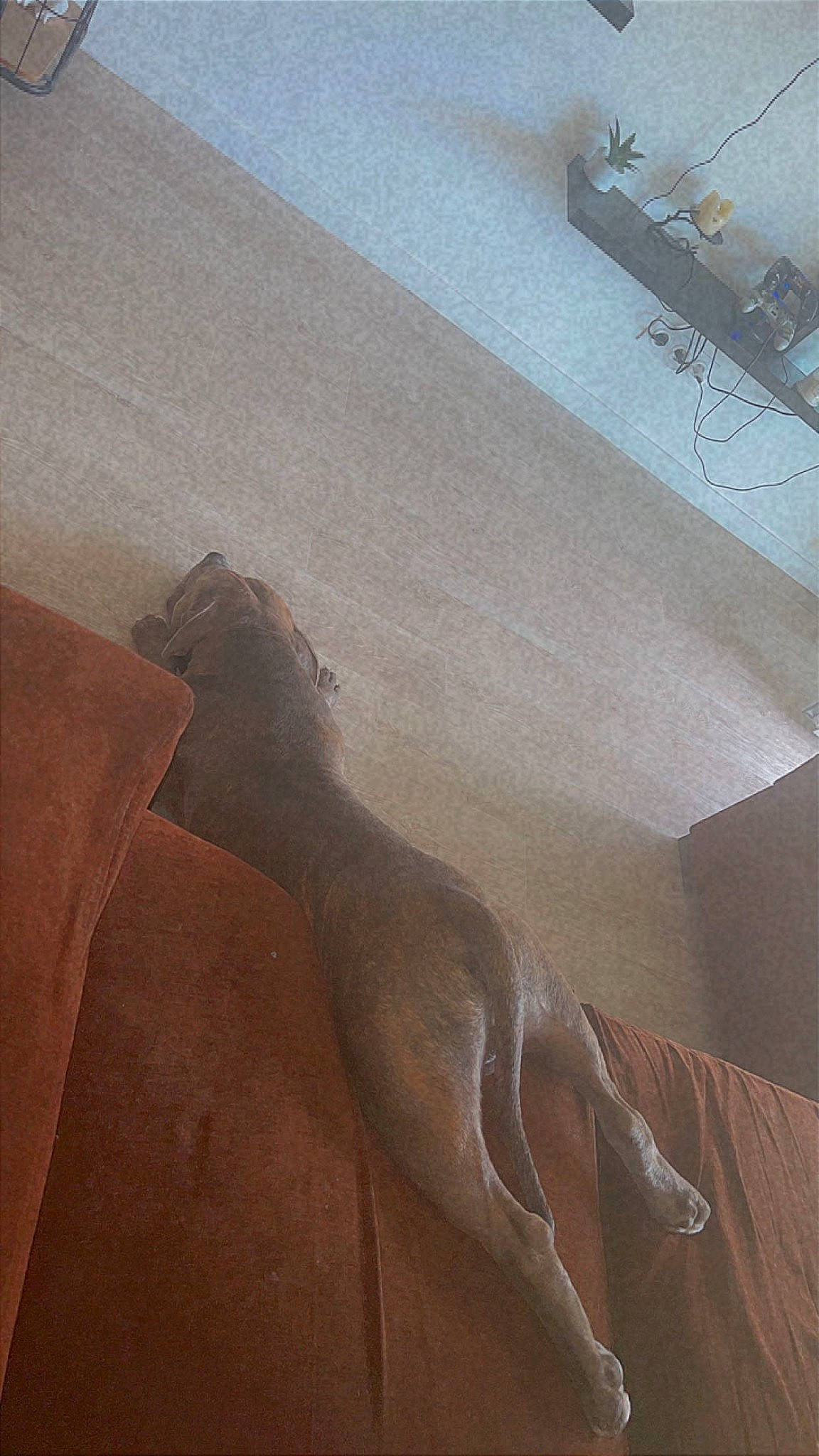 Sat participe au concours pour gagner de l'argent avec cette photo : art, beige, ceiling, concrete, fawn, floor, flooring, grey, hardwood, human_leg, landscape, metal, plaster, plywood, sculpture, shadow, thigh, tints_and_shades, wood, wood_stain