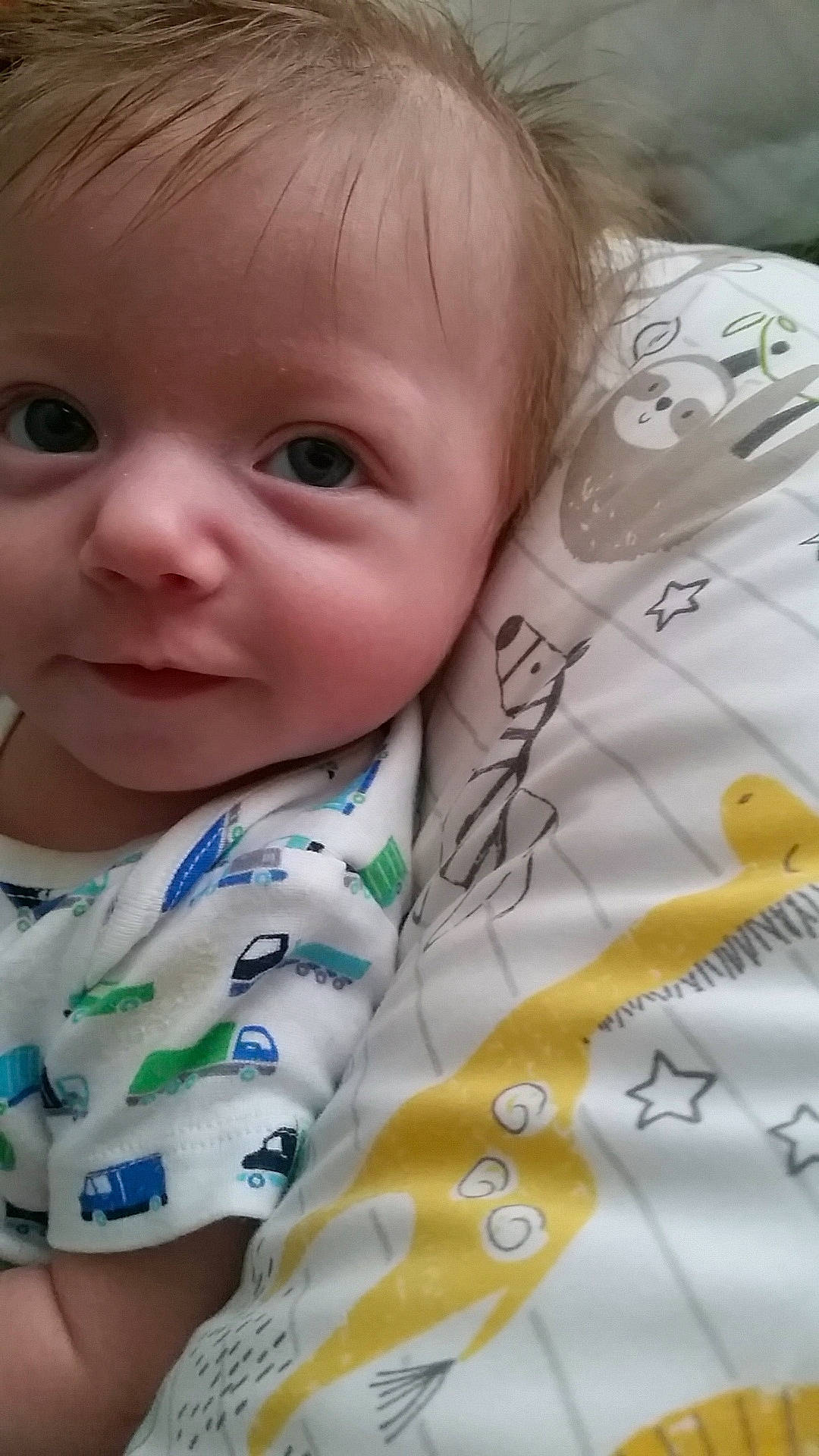 Neil is registered to the contest to win money with this photo: baby, cheek, child, chin, eye, face, head, iris, lip, nose, person, skin, smile, toddler