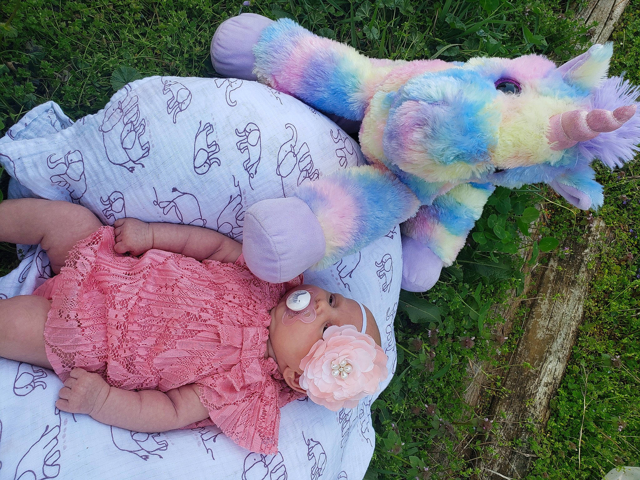 Mackenzie is registered to the contest to win money with this photo: baby, child, design, grass, hand, interaction, nap, pattern, person, pink, plush, sleep, stuffed_toy, textile, toy
