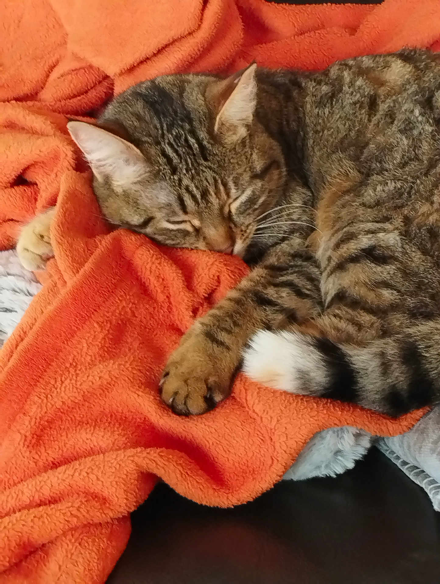 Sophie