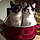 Fiona And Gus