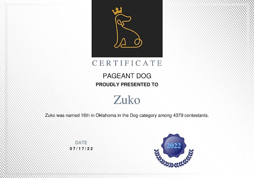 Zuko is registered to the contest to win money with this photo: brand, circle, electric_blue, font, graphic_design, graphics, label, logo, paper, paper_product, pattern, publication, rectangle