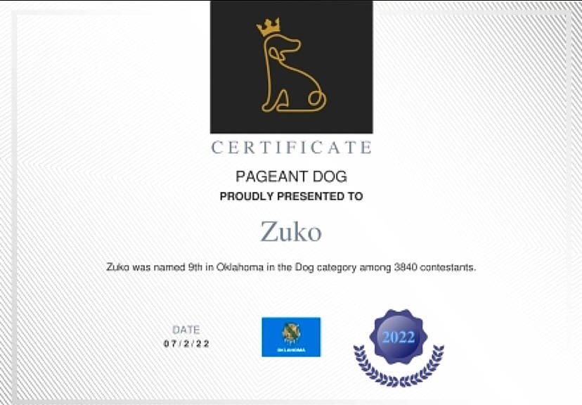 Zuko is registered to the contest to win money with this photo: advertising, book, brand, circle, electric_blue, font, graphic_design, graphics, label, logo, multimedia, paper, paper_product, pattern, rectangle