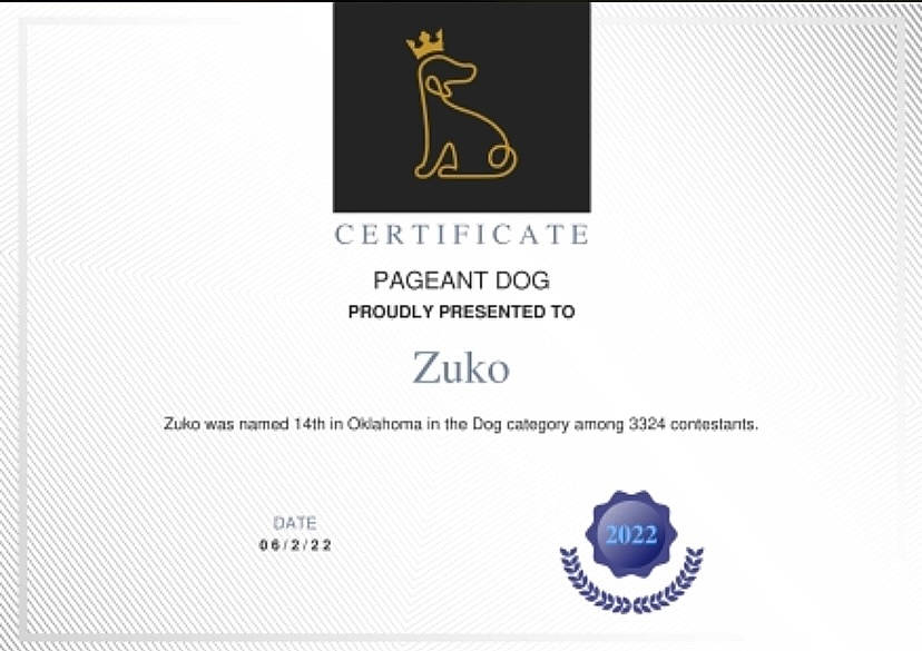 Zuko is registered to the contest to win money with this photo: book, brand, circle, document, electric_blue, font, graphic_design, graphics, label, logo, paper, paper_product, pattern, publication, rectangle
