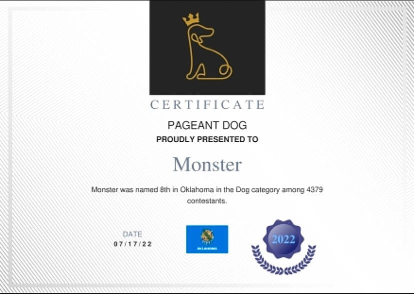 Monster is registered to the contest to win money with this photo: advertising, book, brand, circle, electric_blue, font, graphic_design, graphics, label, logo, multimedia, paper, paper_product, pattern, publication, rectangle, screenshot, software, website