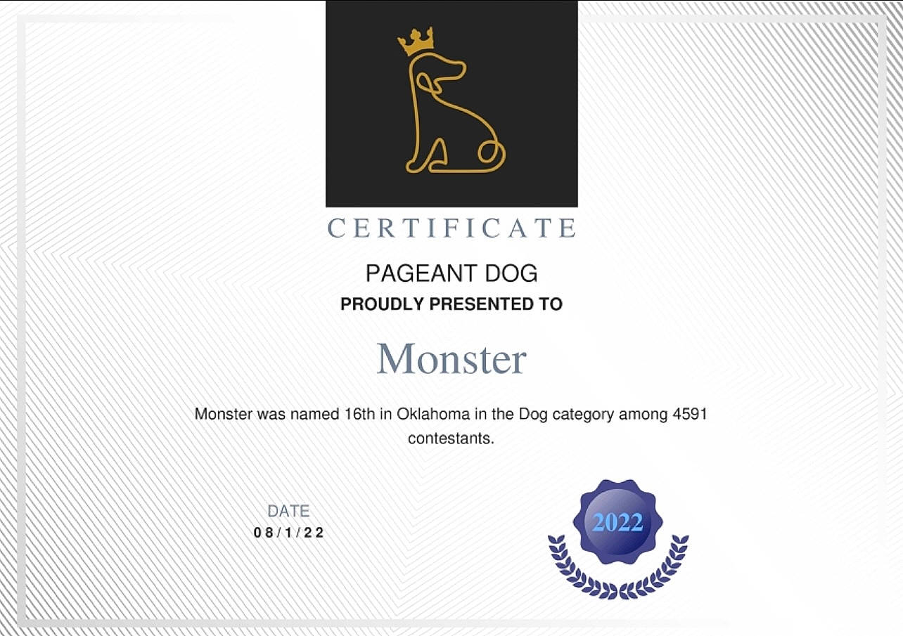 Monster is registered to the contest to win money with this photo: book, brand, circle, electric_blue, font, graphic_design, graphics, label, logo, paper, paper_product, pattern, publication, rectangle