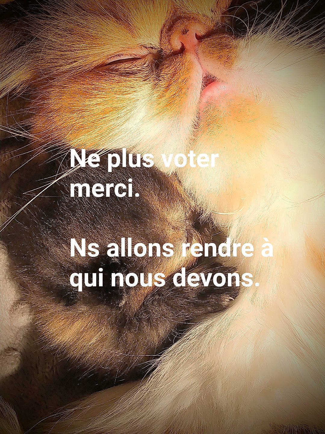 Osiris participe au concours pour gagner de l'argent avec cette photo : photo_caption, text