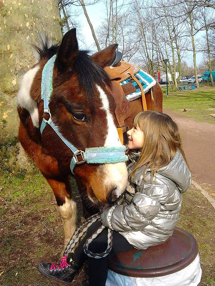 Tonnerre a rejoint le concours — aidez-le/la à gagner de superbes lots ! bridle, equestrianism, halter, horse, horse_grooming, horse_harness, horse_like_mammal, horse_supplies, horse_tack, mane, mare, person, pony, rein, saddle, snout, stallion