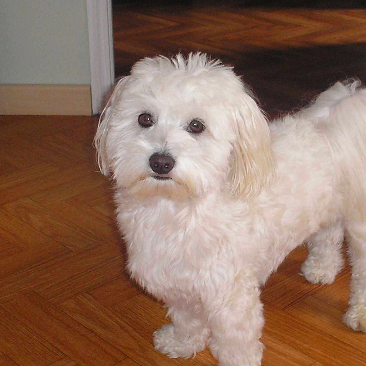 SANFIN participe au concours pour gagner de l'argent avec cette photo :