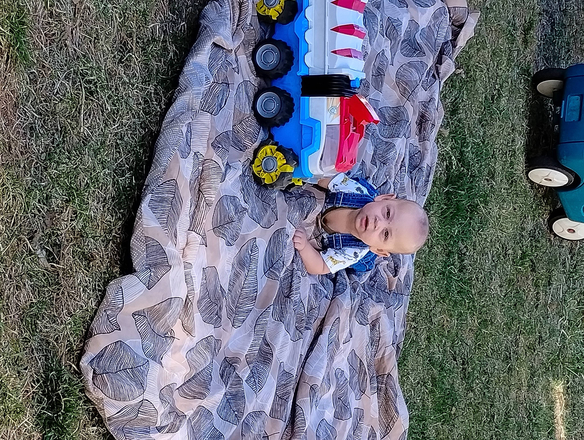 Eiden joined the competition — help win amazing prizes! baby, baby_toddler_clothing, child, electric_blue, fun, grass, landscape, leisure, linens, pattern, people_in_nature, person, plant, play, recreation, t_shirt, toddler, tree, yard