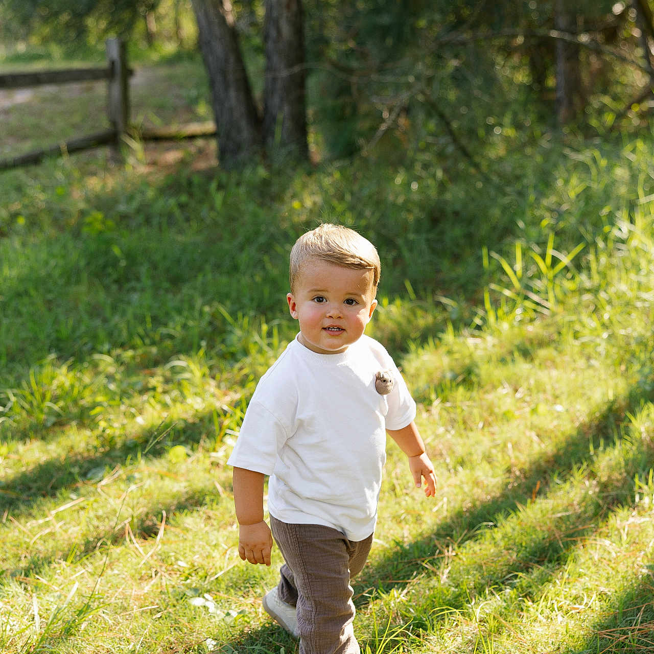 Aidan