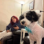 Dumbo joined the competition — help win amazing prizes! dog, bow_tie, couch, lamp, woman, phone, indoor, leather, furniture, portrait, smile, red_hair, casual, home, relaxed, seated, pet, cozy, black_and_white, curtains