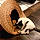 Ringtail