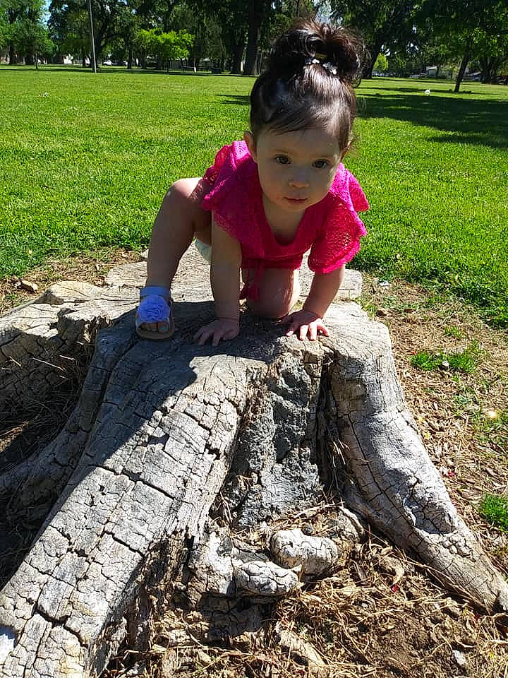 Ariella is registered to the contest to win money with this photo: adaptation, child, grass, leisure, person, plant, play, rock, smile, soil, spring, tree, trunk