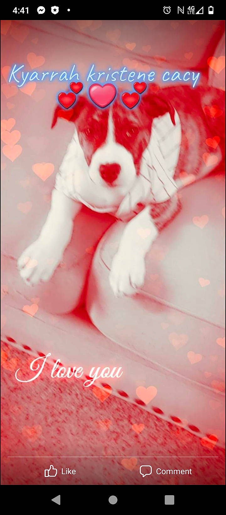 Kyarrah joined the competition — help win amazing prizes! beauty, carnivore, companion_dog, dog, dog_breed, dog_supply, fawn, felidae, font, goggles, head, magenta, personal_protective_equipment, pink, red, snout, sunglasses, t_shirt, vision_care, whiskers