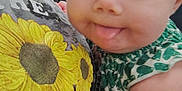 Sophia is registered to the contest to win money with this photo: baby, child, tongue_out, close_up, infant, person, arm, clothing, pattern, sunflower, shirt, indoor, holding, face, skin, cute, expression, young, human, portrait