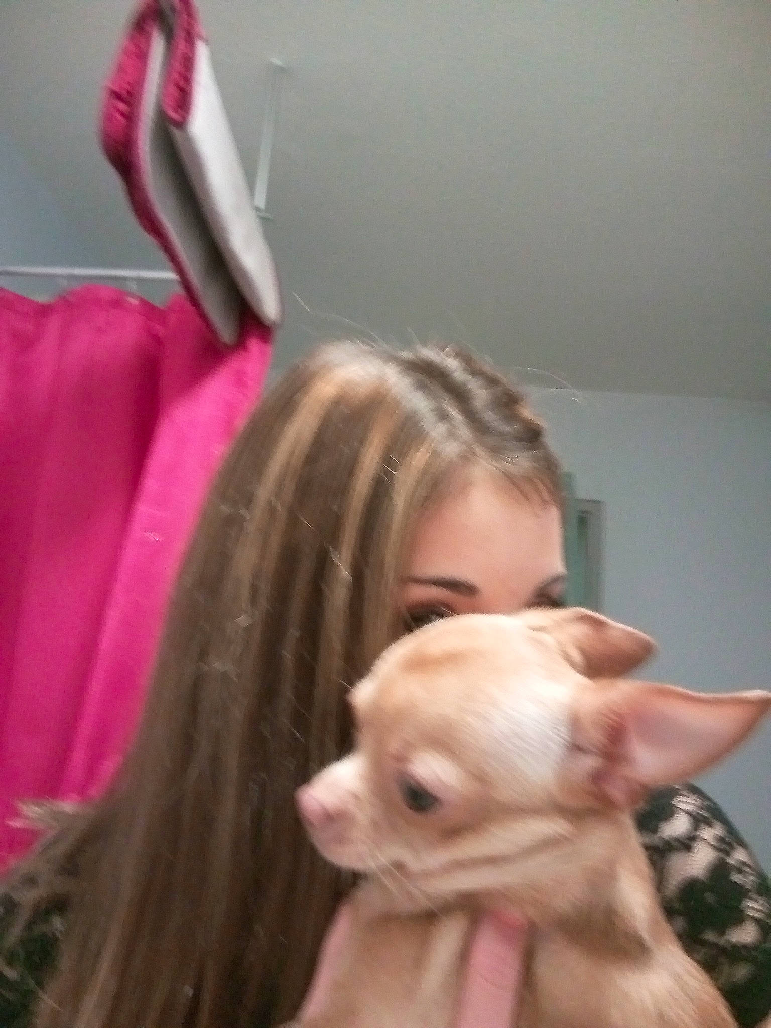 Syara a rejoint le concours — aidez-le/la à gagner de superbes lots ! blond, canidae, carnivore, chihuahua, companion_dog, dog, dog_breed, ear, fawn, head, long_hair, mammal, mouth, non_sporting_group, pink, snout, toy_dog