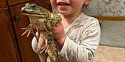 Wren joined the competition — help win amazing prizes! animal, bathroom_products, child, curly_hair, cute, face, floor, frog, happy, holding, indoor, kitchen, marble_wall, pajamas, person, smile, tile_floor, toddler, wooden_cabinets, young_child