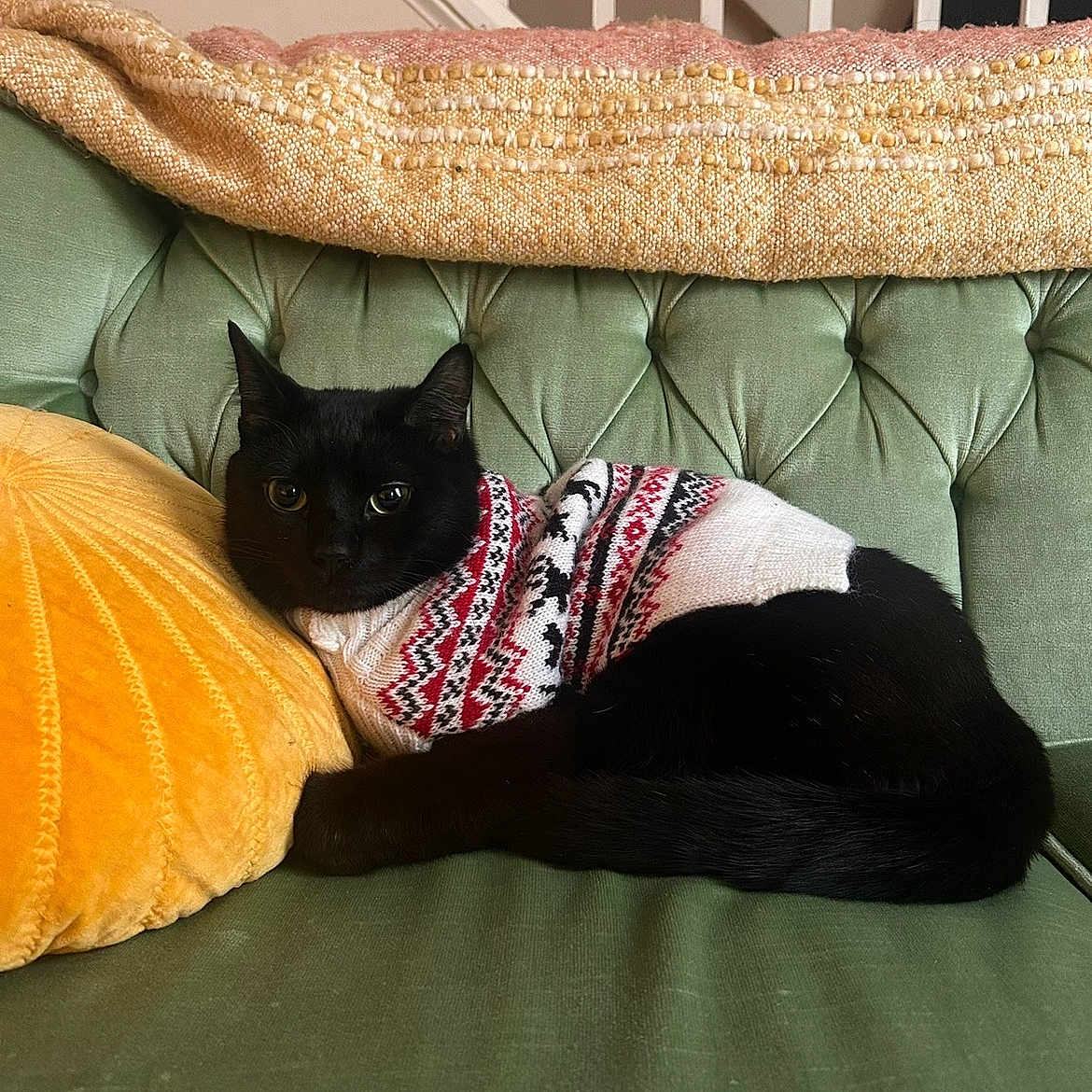 Felix