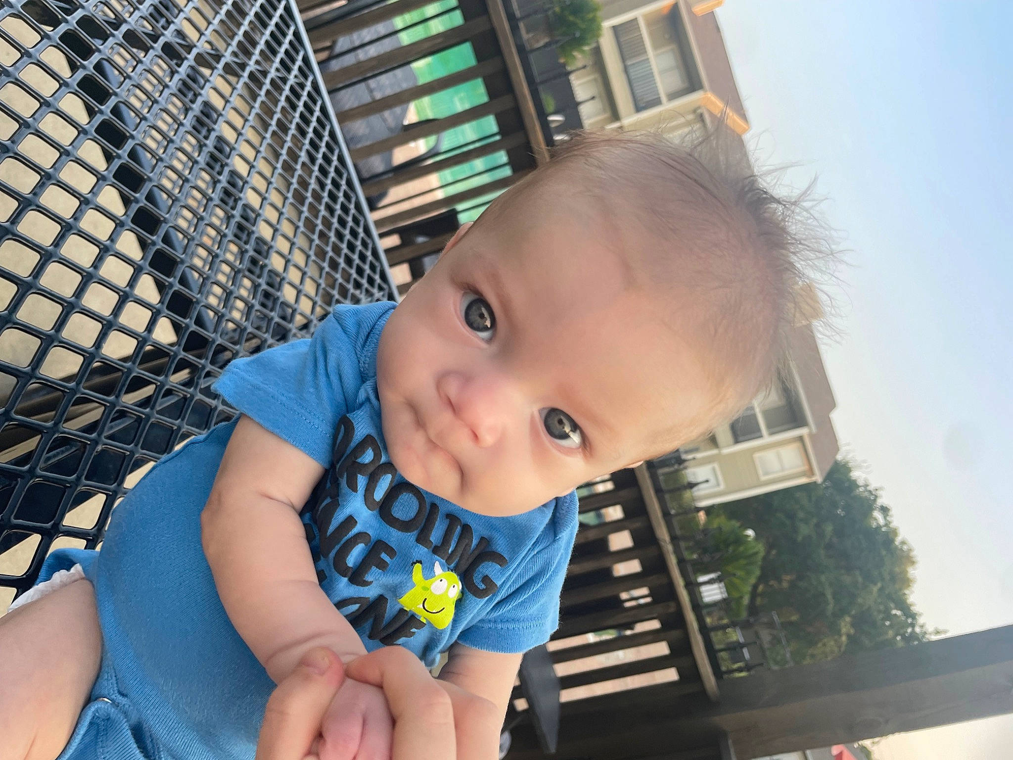 Randy is registered to the contest to win money with this photo: baby, baby_products, baby_toddler_clothing, child, electric_blue, fun, grass, happy, iris, leisure, mesh, people_in_nature, person, plant, skin, sky, smile, toddler, tree, window