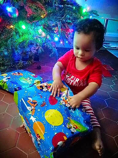 Noah a rejoint le concours — aidez-le/la à gagner de superbes lots ! baby_toddler_clothing, blue, child, christmas_tree, conifer, electric_blue, event, fun, green, happy, holiday, leisure, light, magenta, party, person, play, purple, sharing, sitting