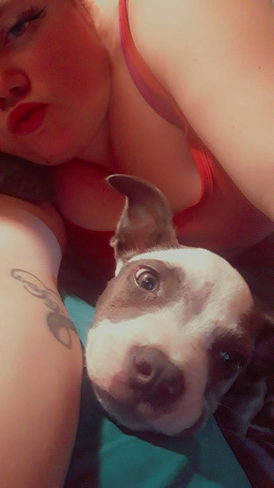 Panda is registered to the contest to win money with this photo: carnivore, chest, companion_dog, dog, dog_breed, ear, eyebrow, eyelash, fawn, finger, gesture, happy, human_body, jaw, neck, nose, skin, snout, trunk, working_animal