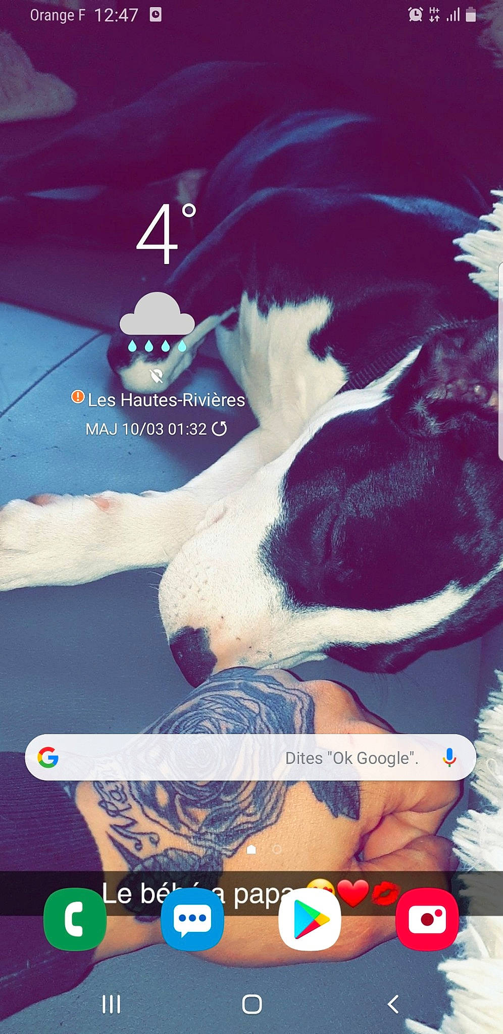 Nala a rejoint le concours — aidez-le/la à gagner de superbes lots ! advertising, animation, graphic_design, photo_caption, photography, screenshot