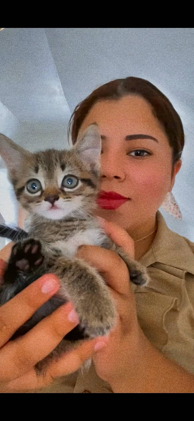 Tobiah is registered to the contest to win money with this photo: carnivore, cat, comfort, domestic_short_haired_cat, ear, eyelash, eyewear, fawn, felidae, finger, fur, gesture, hand, nail, paw, sitting, skin, small_to_medium_sized_cats, snout, whiskers